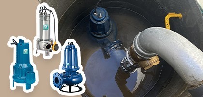 Pompes série RIM - RIT INOX 316